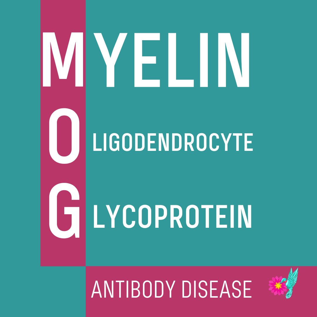 Moyelin oligodendrocyte glycoprotein