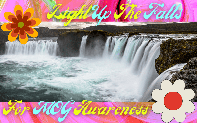 Image of Niagra Falls with swirly pink border, 60s groovy font that reads Light up the Falls for MOG Awareness