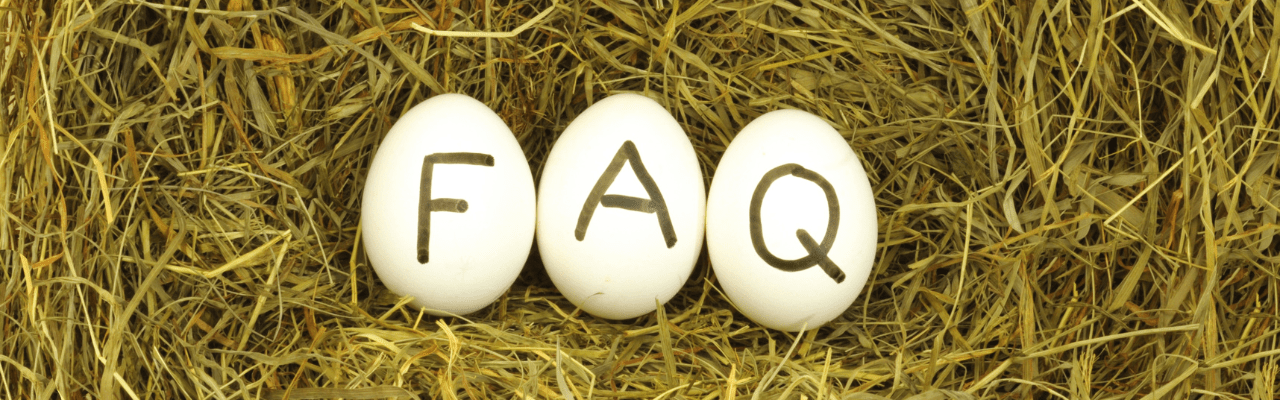 3 eggs in a nest that say FAQ