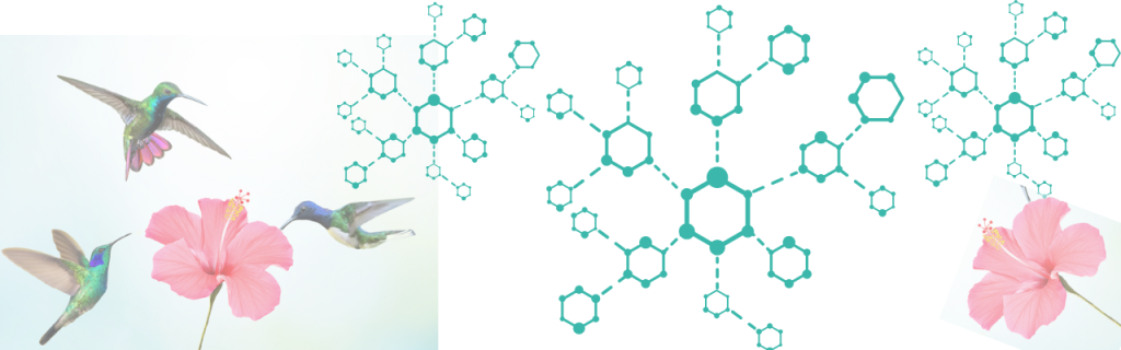 Image shows molecules floating around
