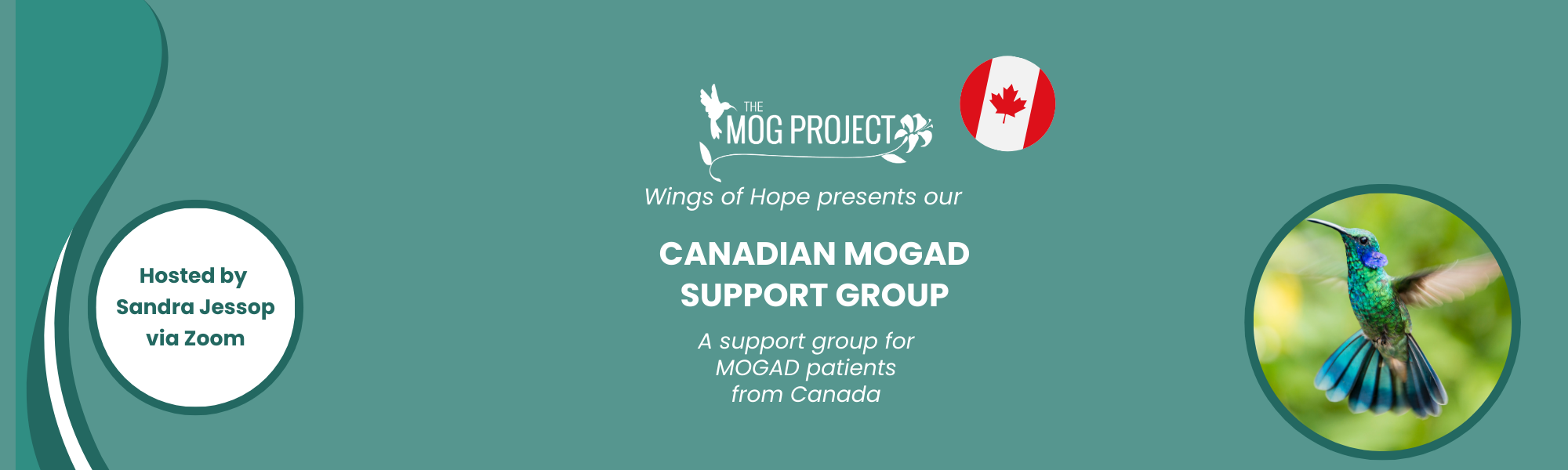 Graphic has a teal background with darker teal swirling lines. There is a circle on the right with a flying hummingbird. The white colored words show The MOG project logo with a circle containing the Canadian flag to the right of it. Underneath that it says Wings of Hope presents our Canadian MOGAD Support Group. A support group for MOGAD patients from Canada. Hosted by Sandra Jessop via Zoom.