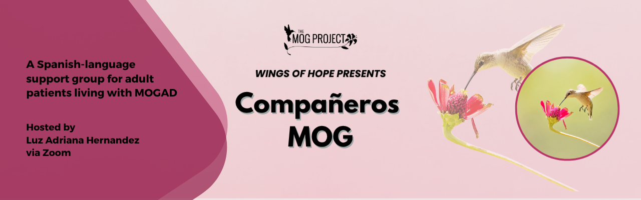 A promotional banner for a Spanish-language support group, Compañeros MOG, for adults with MOGAD. It features a hummingbird near a flower and event details, hosted via Zoom by Luz Adriana Hernandez.