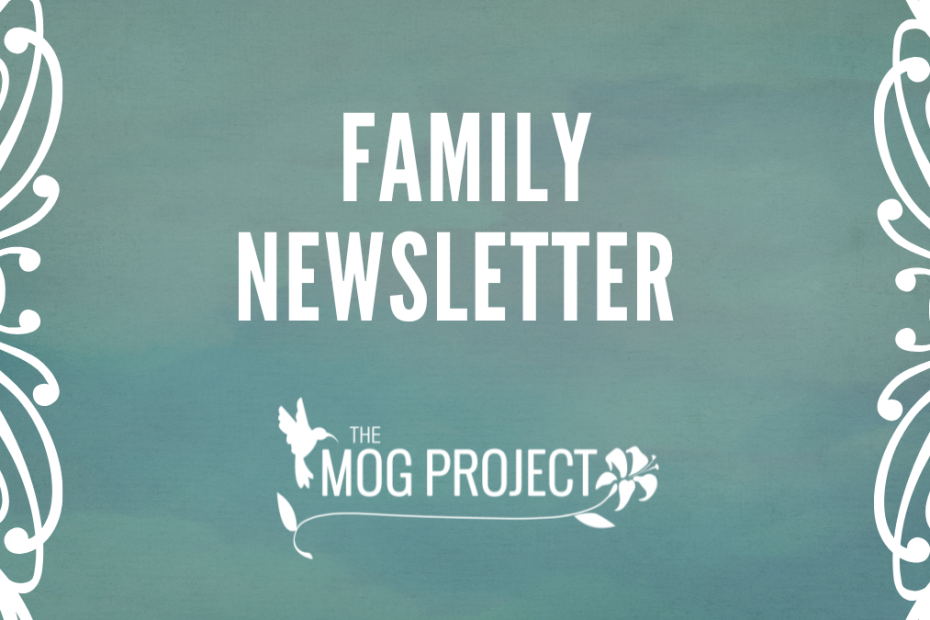 Green and blue textured background with white ornate borders on the sides. Large bold text in the center reads Family Newsletter. Below is The MOG Project logo, highlighting questions to ask your doctor about MOGAD, with a bird and flower graphic.