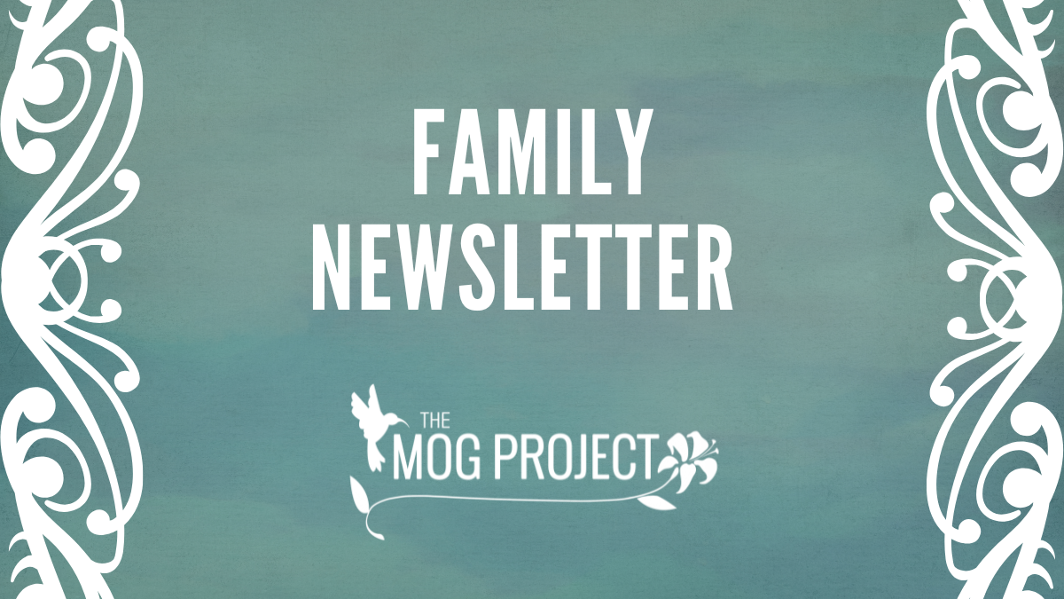 Green and blue textured background with white ornate borders on the sides. Large bold text in the center reads Family Newsletter. Below is The MOG Project logo, highlighting questions to ask your doctor about MOGAD, with a bird and flower graphic.