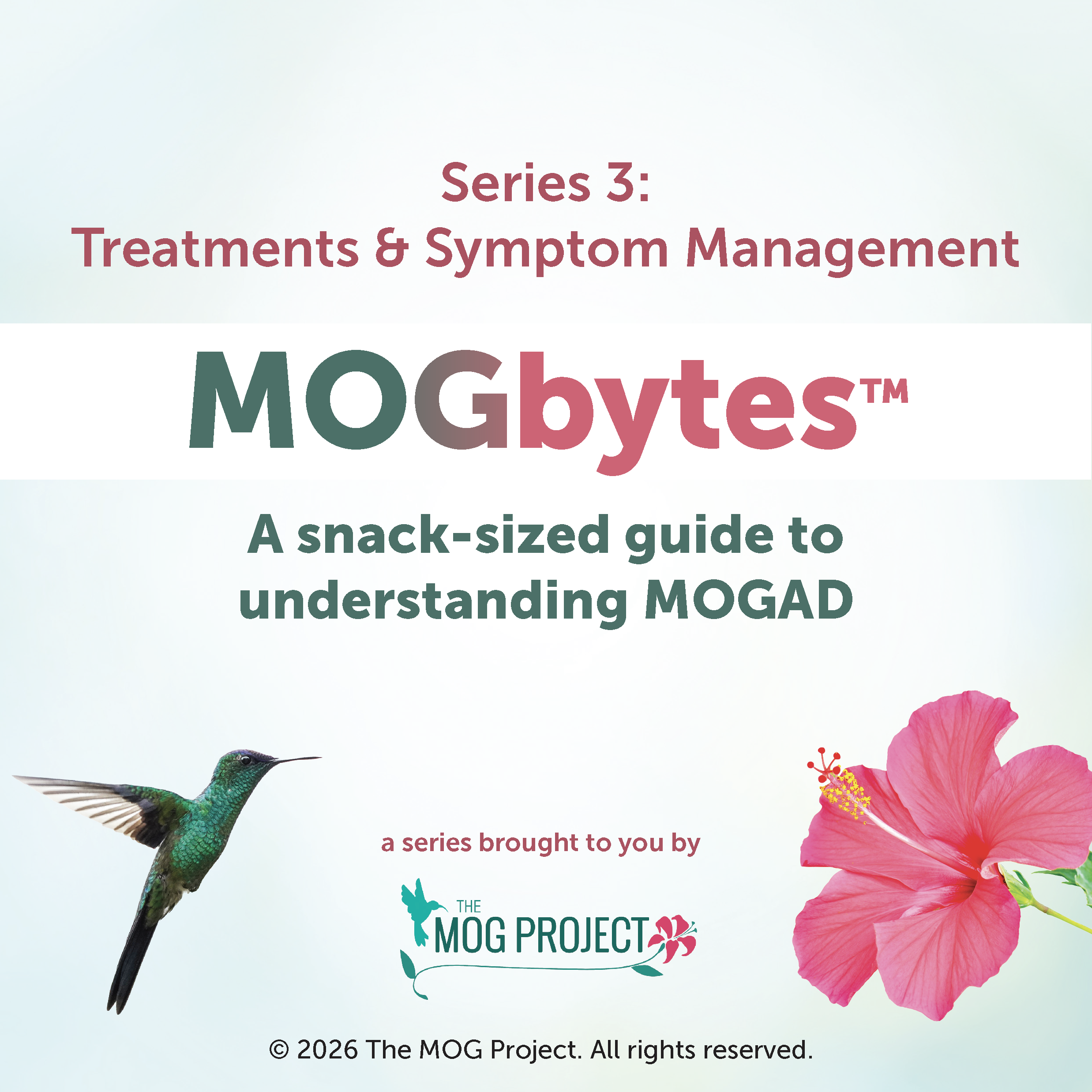 Image with text about MOGbytes™, a guide to understanding MOGAD by The MOG Project, featuring a hummingbird and a pink hibiscus flower on a light blue background.