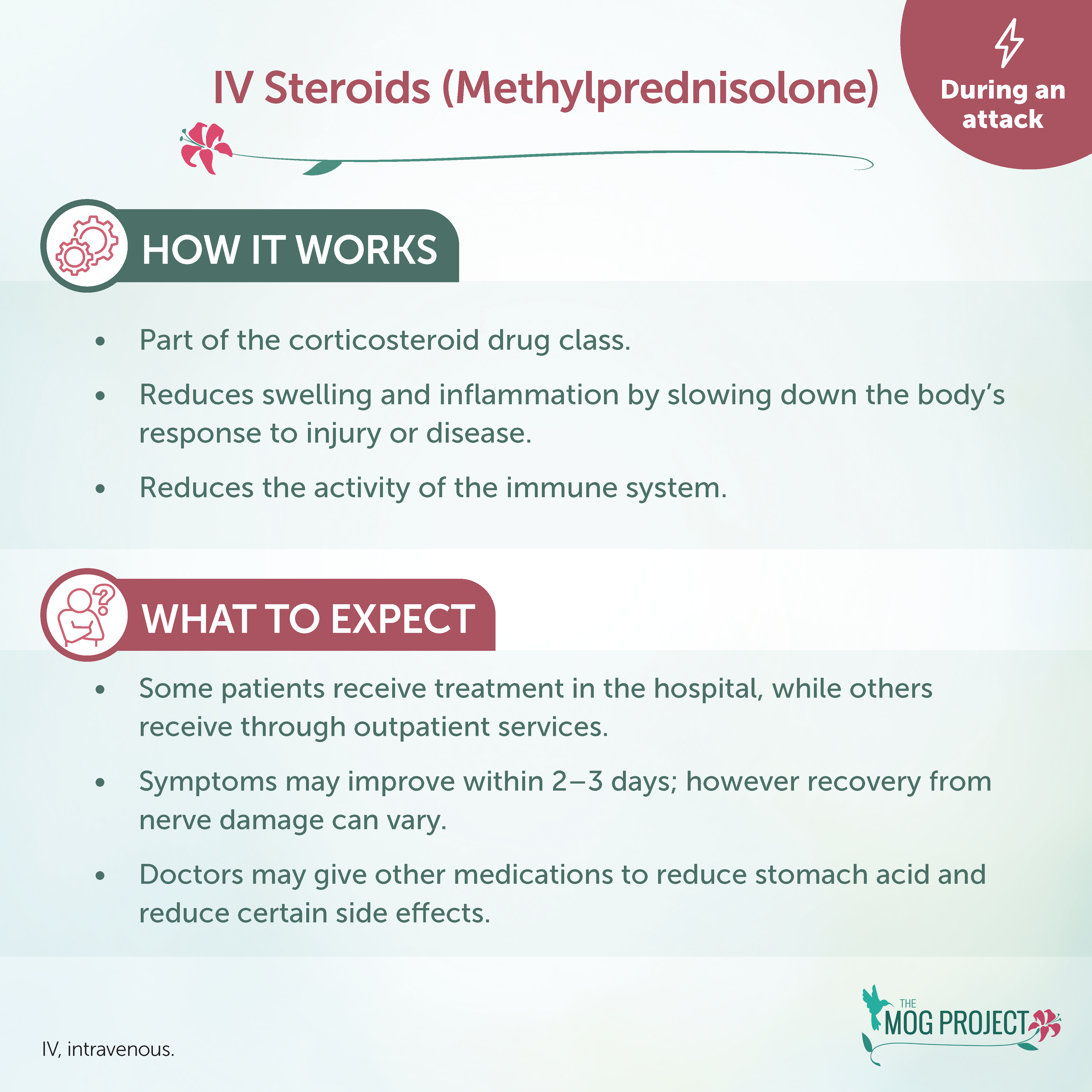 Infographic explaining IV steroids (methylprednisolone) for attacks, detailing how it works, what to expect during treatment, possible side effects, and recovery information. Includes icons and branded by The MOG Project.
