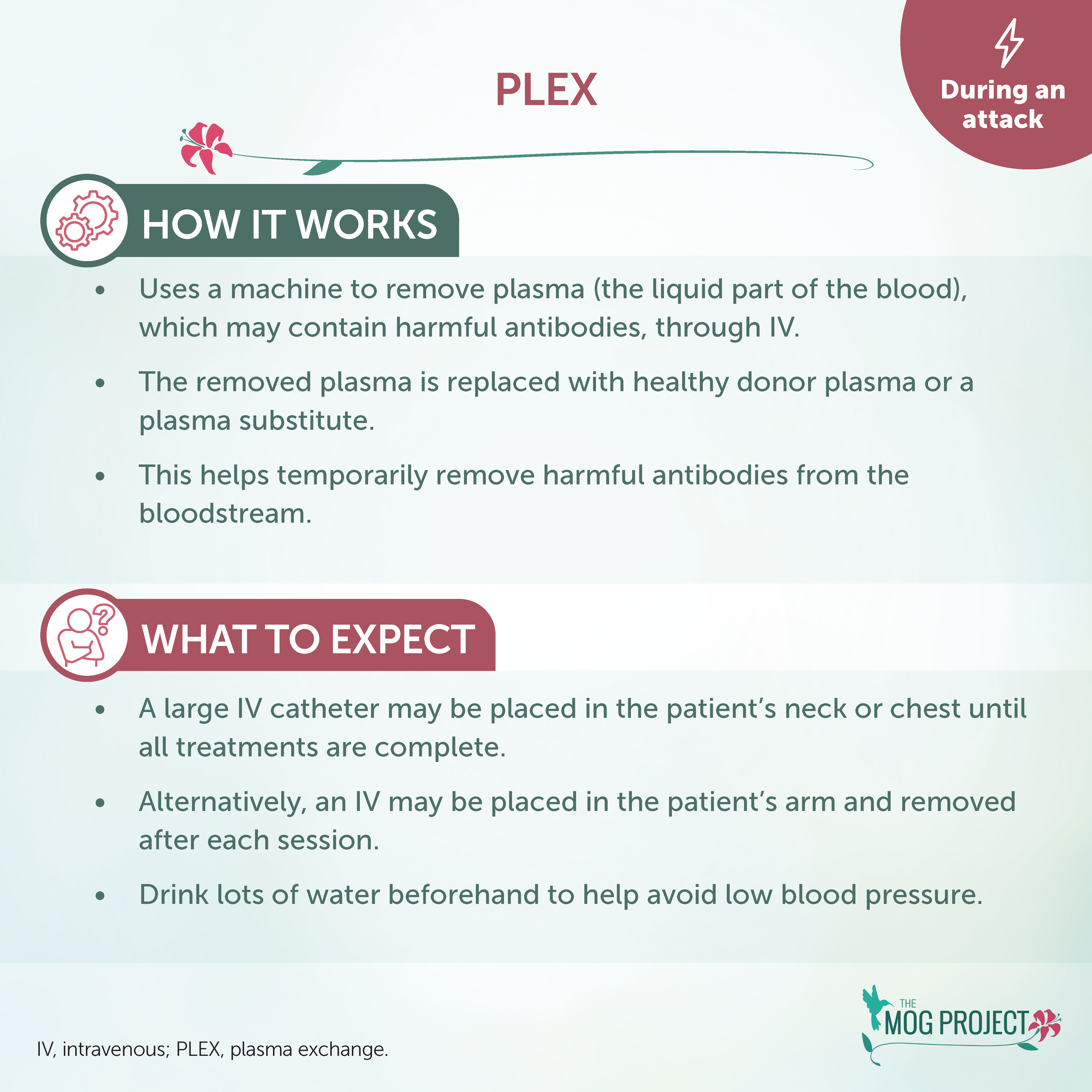 Infographic explaining PLEX: how it works (removes plasma to filter antibodies) and what to expect (IV placement, possible neck/chest line, drink water to help with low blood pressure).