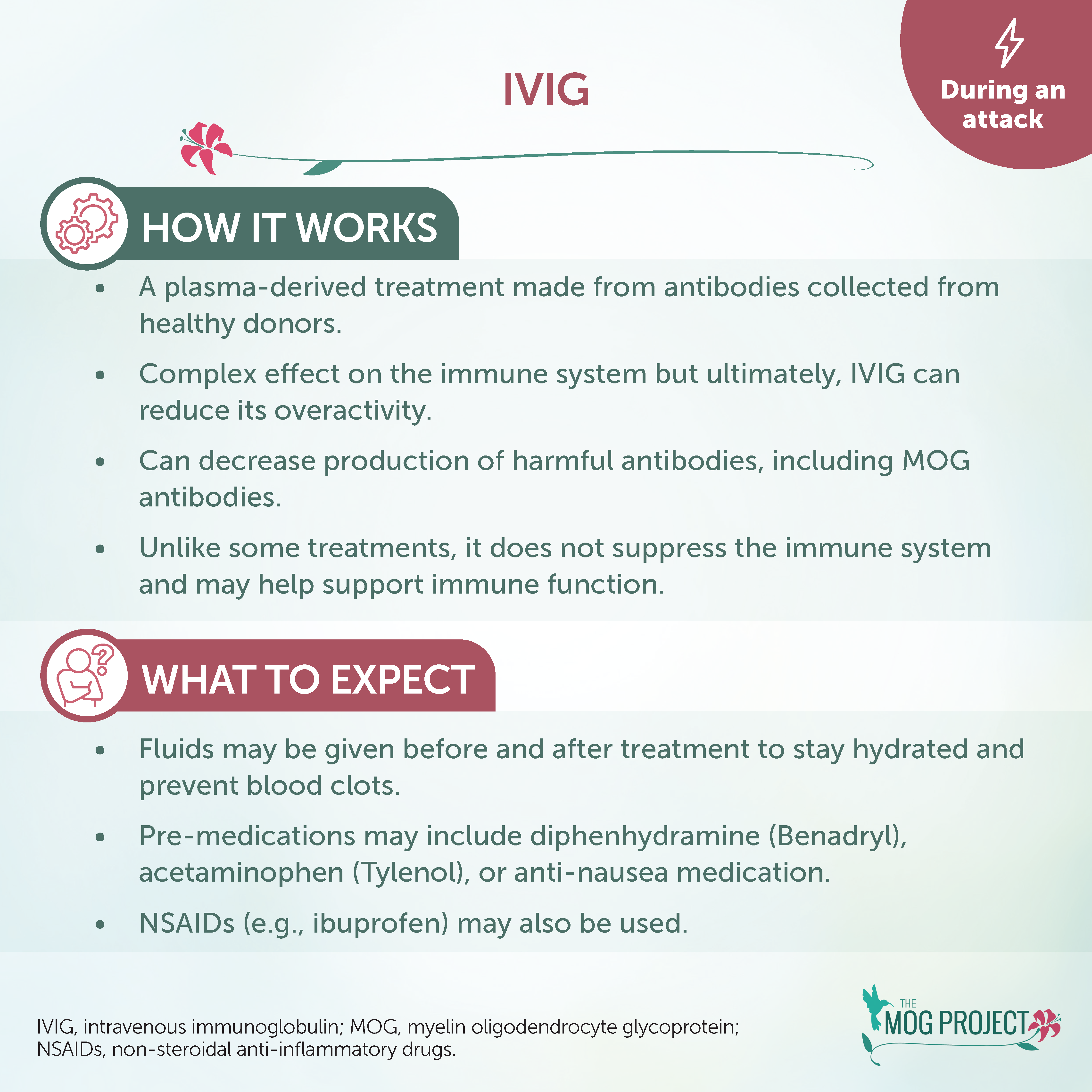 Infographic titled IVIG explains how intravenous immunoglobulin works, what to expect during an attack, and lists possible pre-medications and side effects. The MOG Project logo is in the bottom right corner.