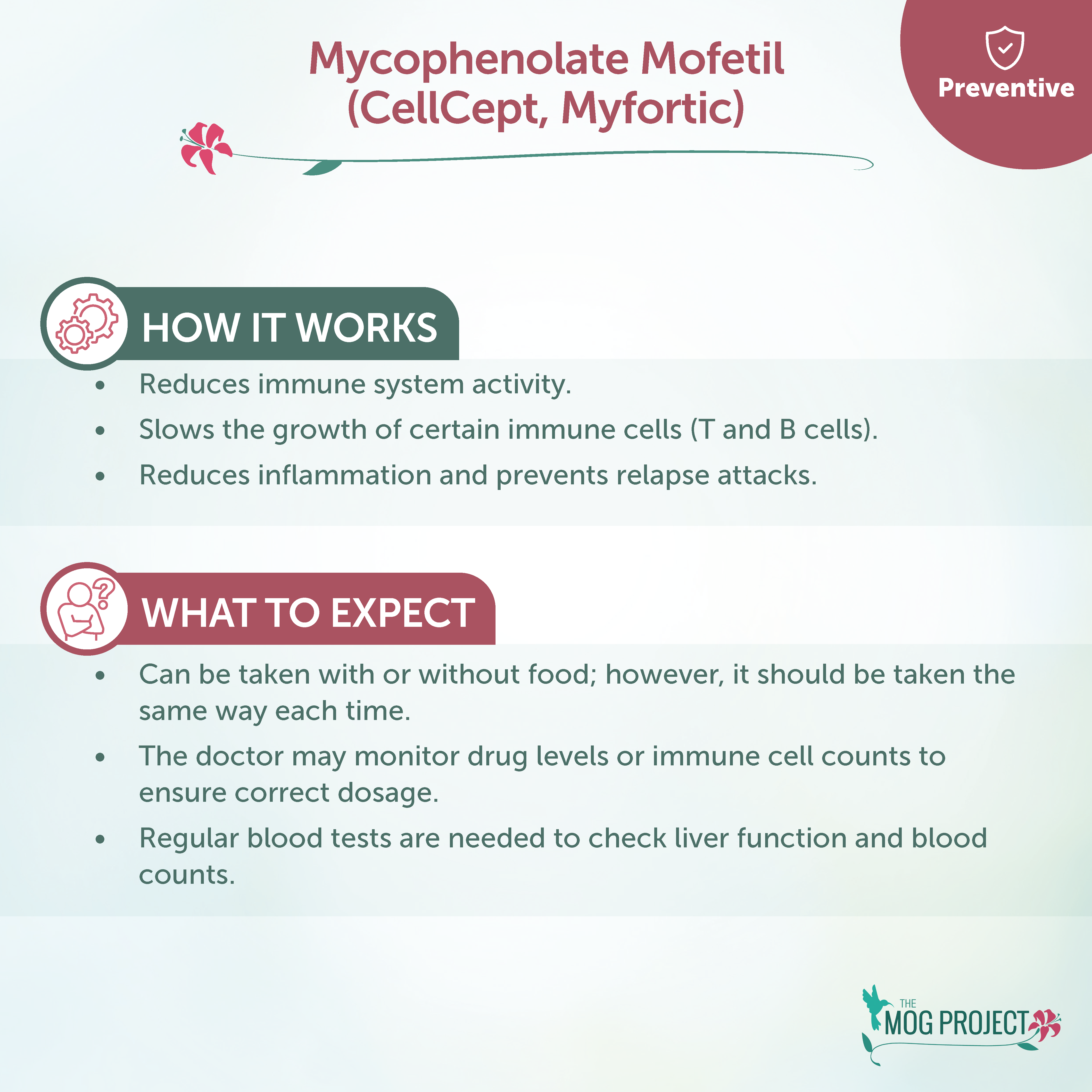 Infographic about Mycophenolate Mofetil (CellCept, Myfortic), explaining how it works to reduce immune activity and what to expect, including drug monitoring and regular blood tests.
