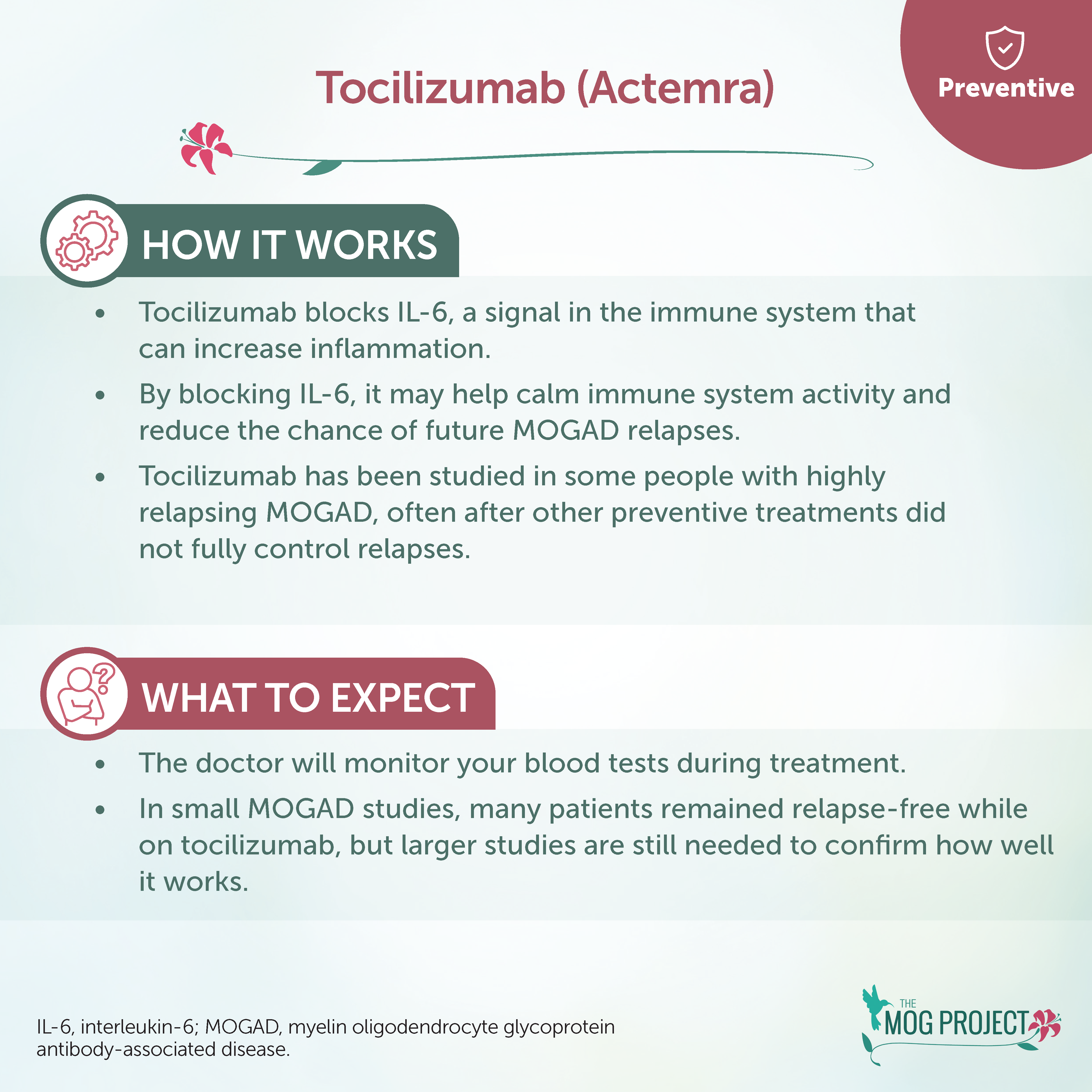 An infographic about Tocilizumab for MOGAD. It explains how it blocks IL-6 to reduce relapses and that blood tests are needed. Relapses were rare in small studies, but more research is needed.