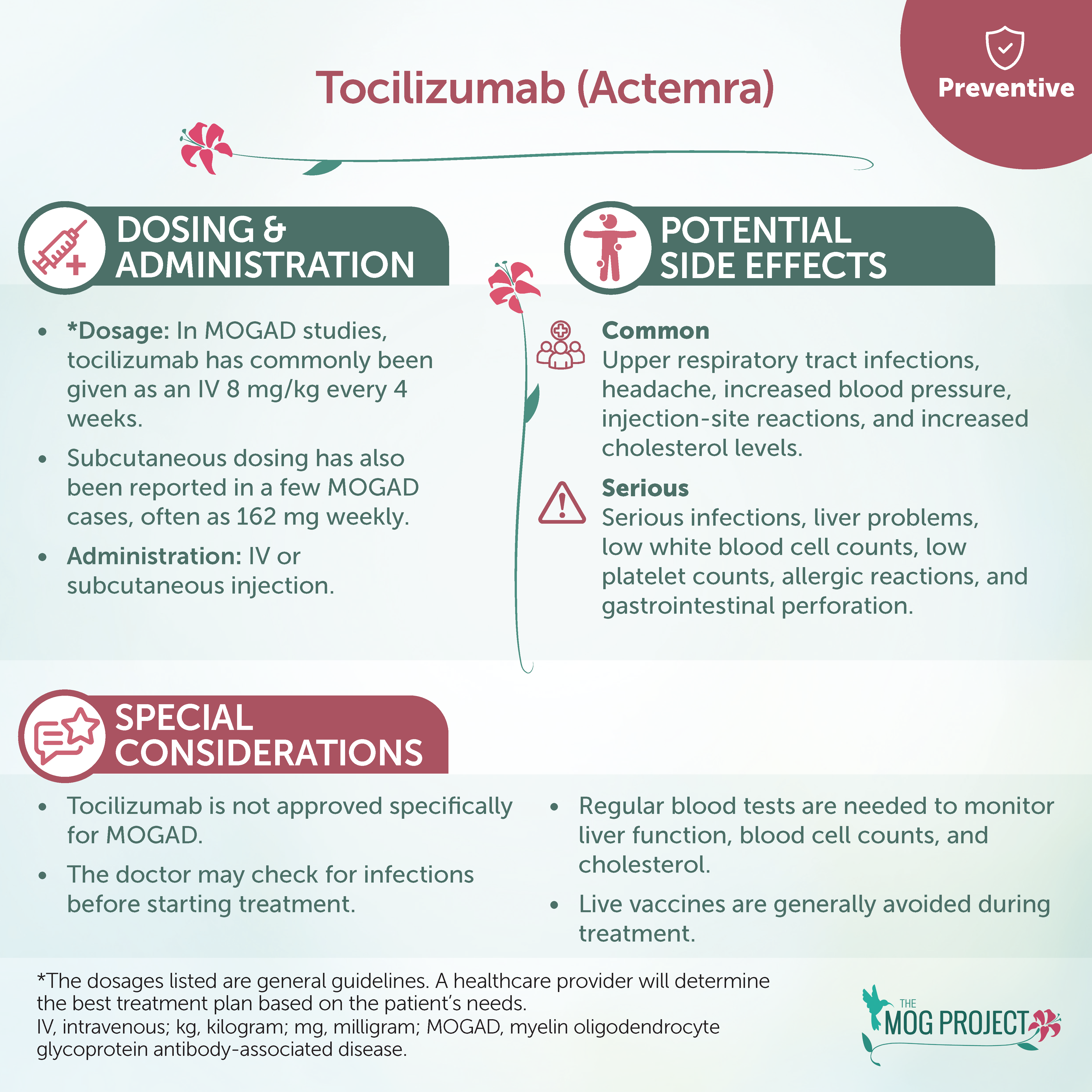 Infographic about Tocilizumab (Actemra) for MOGAD: includes dosing, administration methods, potential side effects, special considerations, and general guidelines, with decorative flowers and icons throughout.