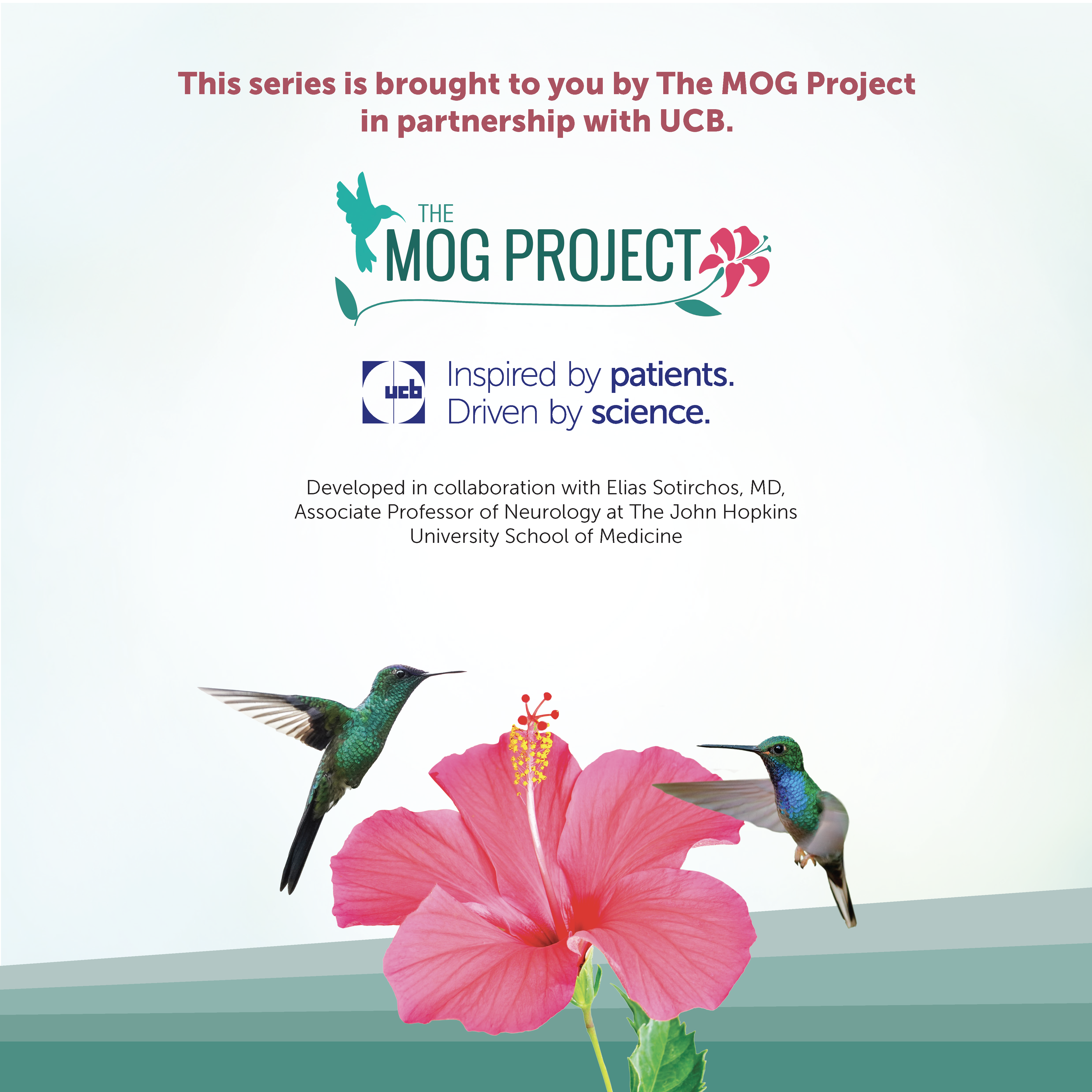 Two hummingbirds hover around a pink hibiscus flower. Above, text announces a MOG Project series in partnership with UCB. Organization logos and collaborator details are also shown.