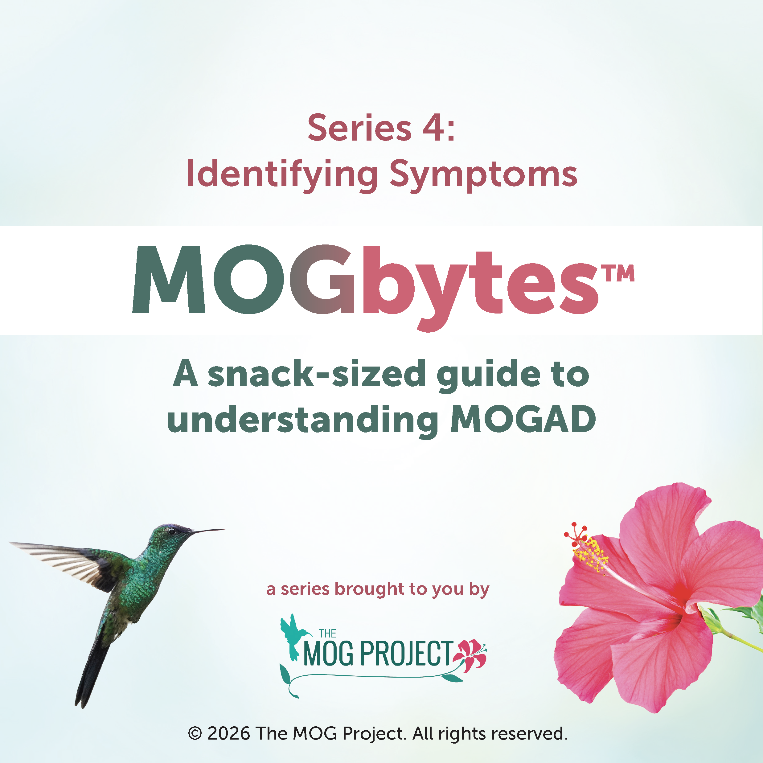 Text reading Series 4: Identifying Symptoms. MOGbytes™: A snack-sized guide to understanding MOGAD. with a hummingbird and hibiscus flower, and logos for The MOG Project. Light blue background.