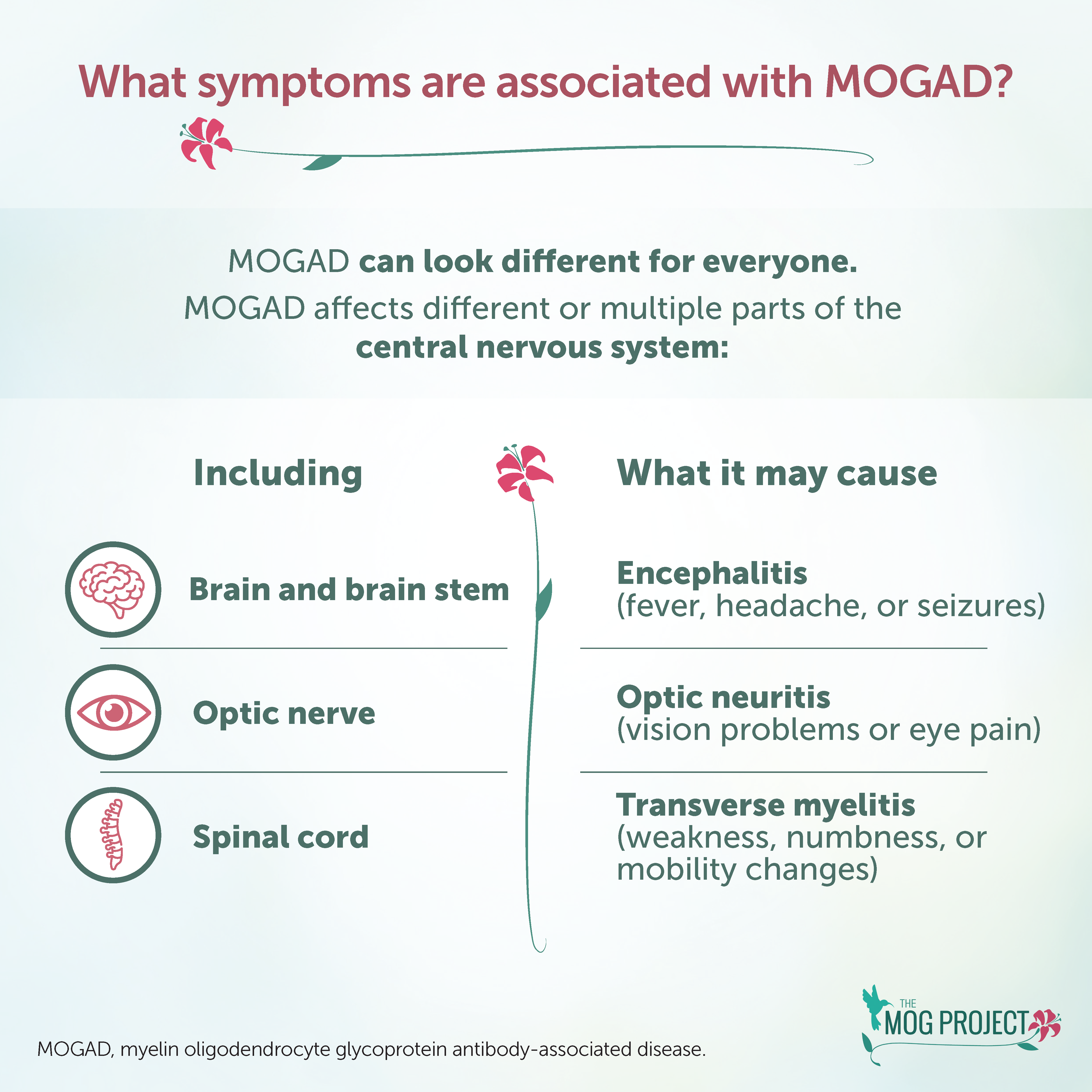Infographic explaining MOGAD symptoms: Affects brain/brain stem, optic nerve, and spinal cord, causing encephalitis, optic neuritis, and transverse myelitis. Text and simple icons included.