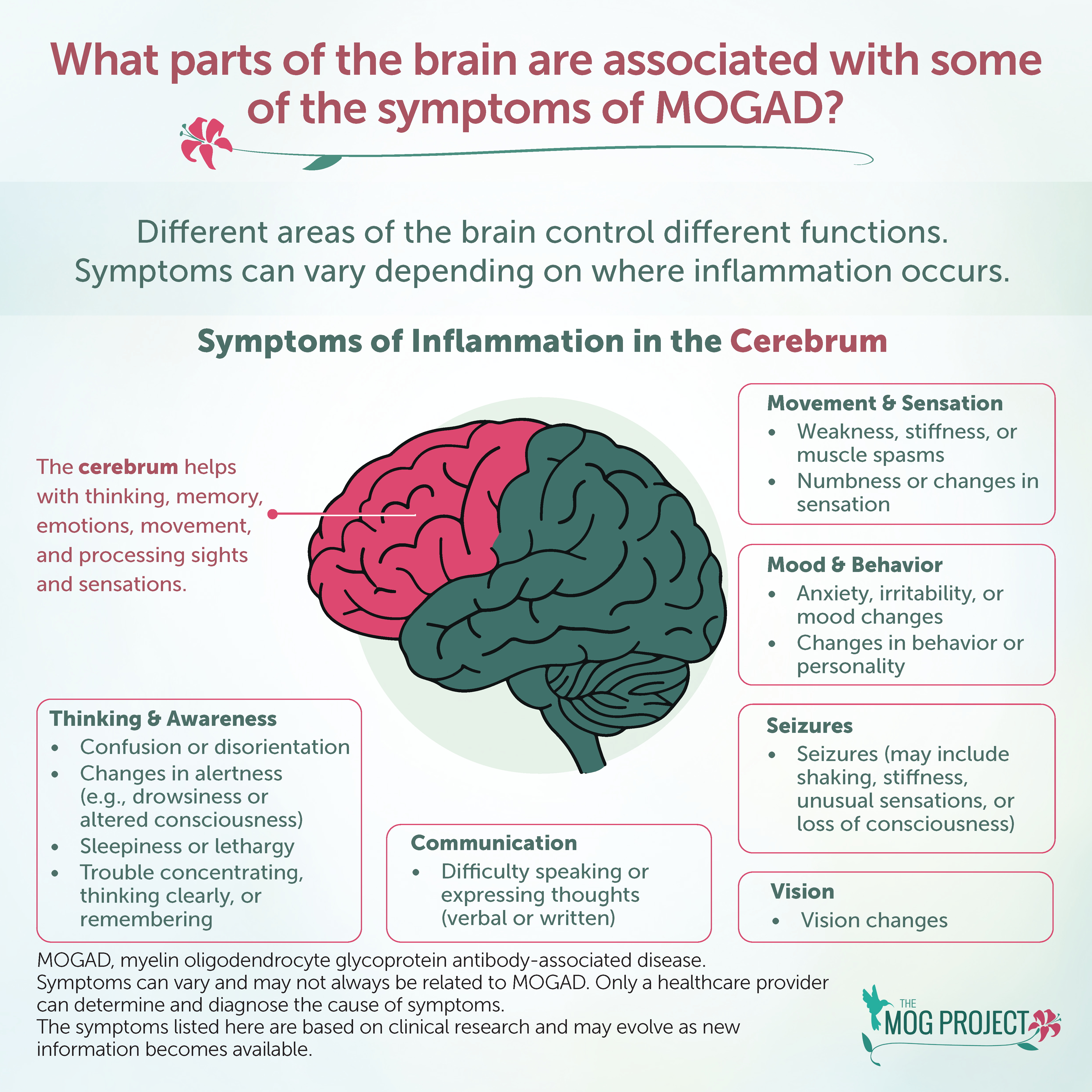 An infographic explaining which brain parts are linked to MOGAD symptoms, including a brain diagram and symptom descriptions for movement, thinking, mood, seizures, communication, and vision.