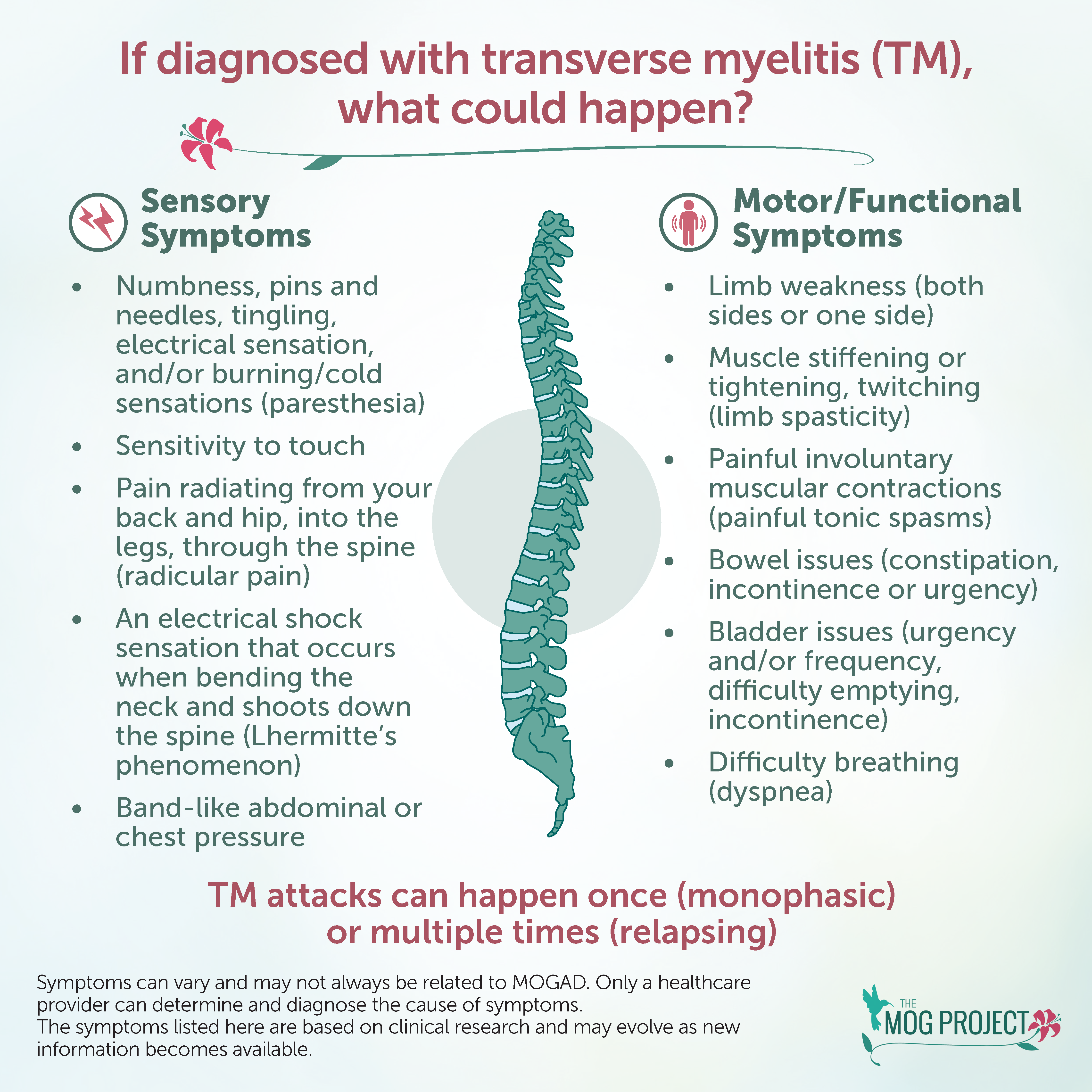Infographic on transverse myelitis showing symptoms: sensory (numbness, tingling, pain), motor (weakness, muscle spasms, bladder issues), with a spine illustration and explanation of monophasic vs. relapsing attacks.