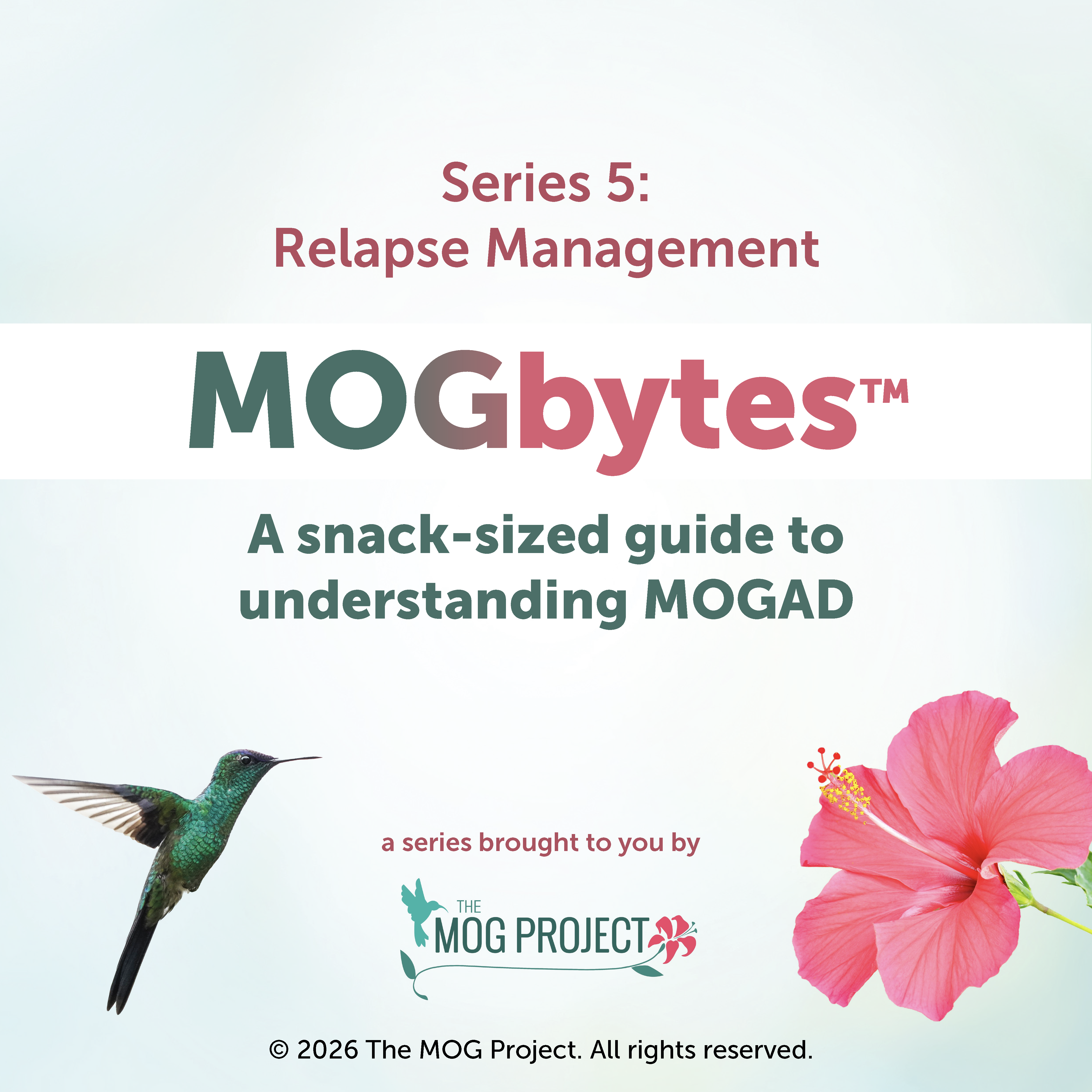 Series 5: Relapse Management. MOGbytes™—A snack-sized guide to understanding MOGAD. Includes a hummingbird, pink hibiscus flower, and The MOG Project logo at the bottom.