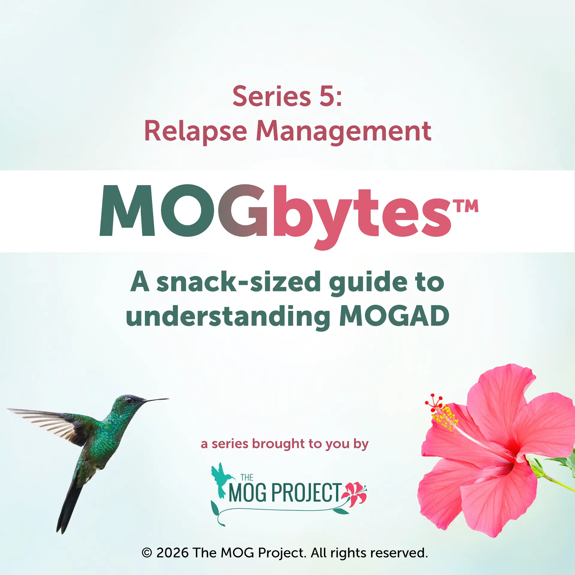 Series 5: Relapse Management. MOGbytes™—A snack-sized guide to understanding MOGAD. Includes a hummingbird, pink hibiscus flower, and The MOG Project logo at the bottom.