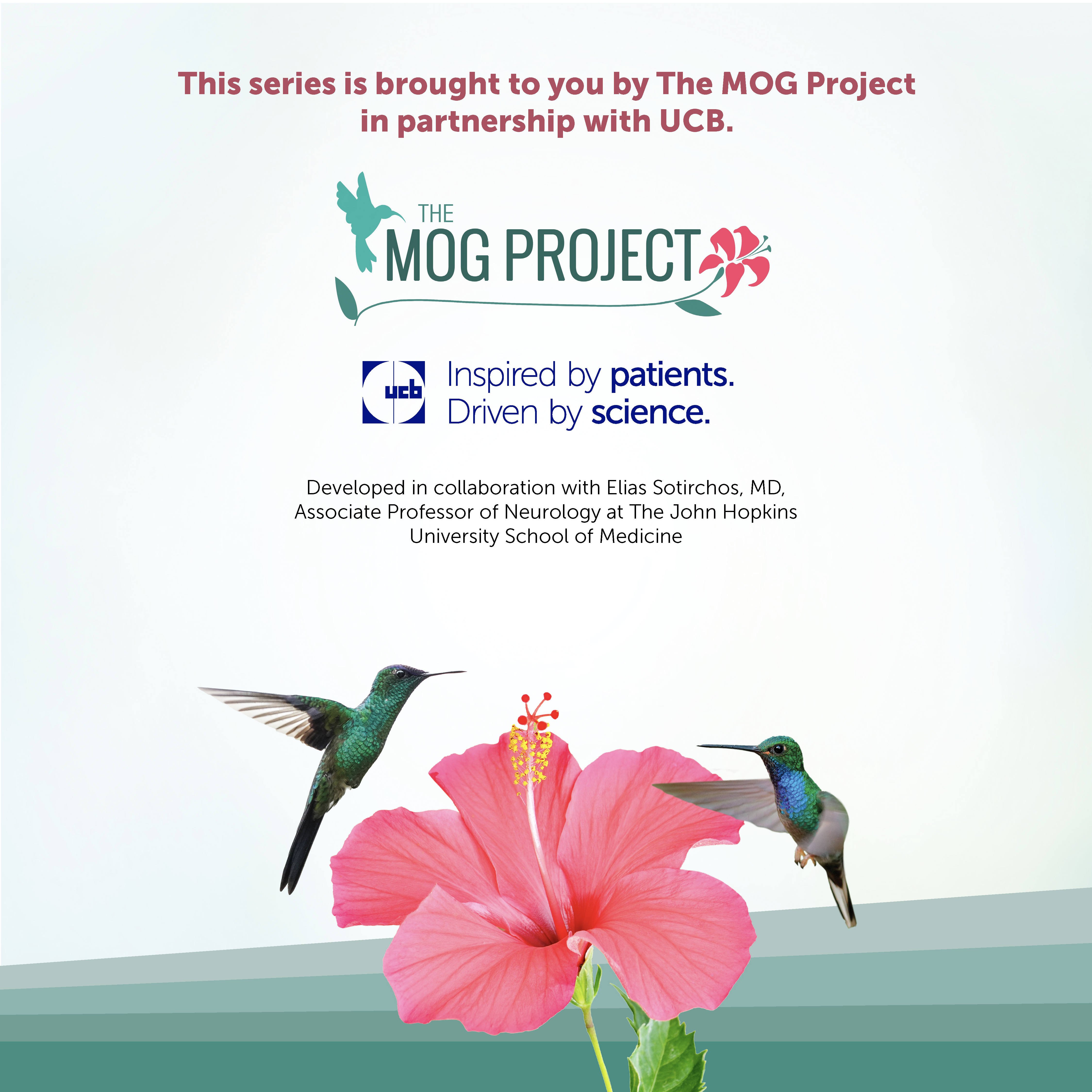 Two hummingbirds hover near a pink hibiscus flower. Text above reads: This series is brought to you by The MOG Project in partnership with UCB. Additional logos and collaboration credits are shown.