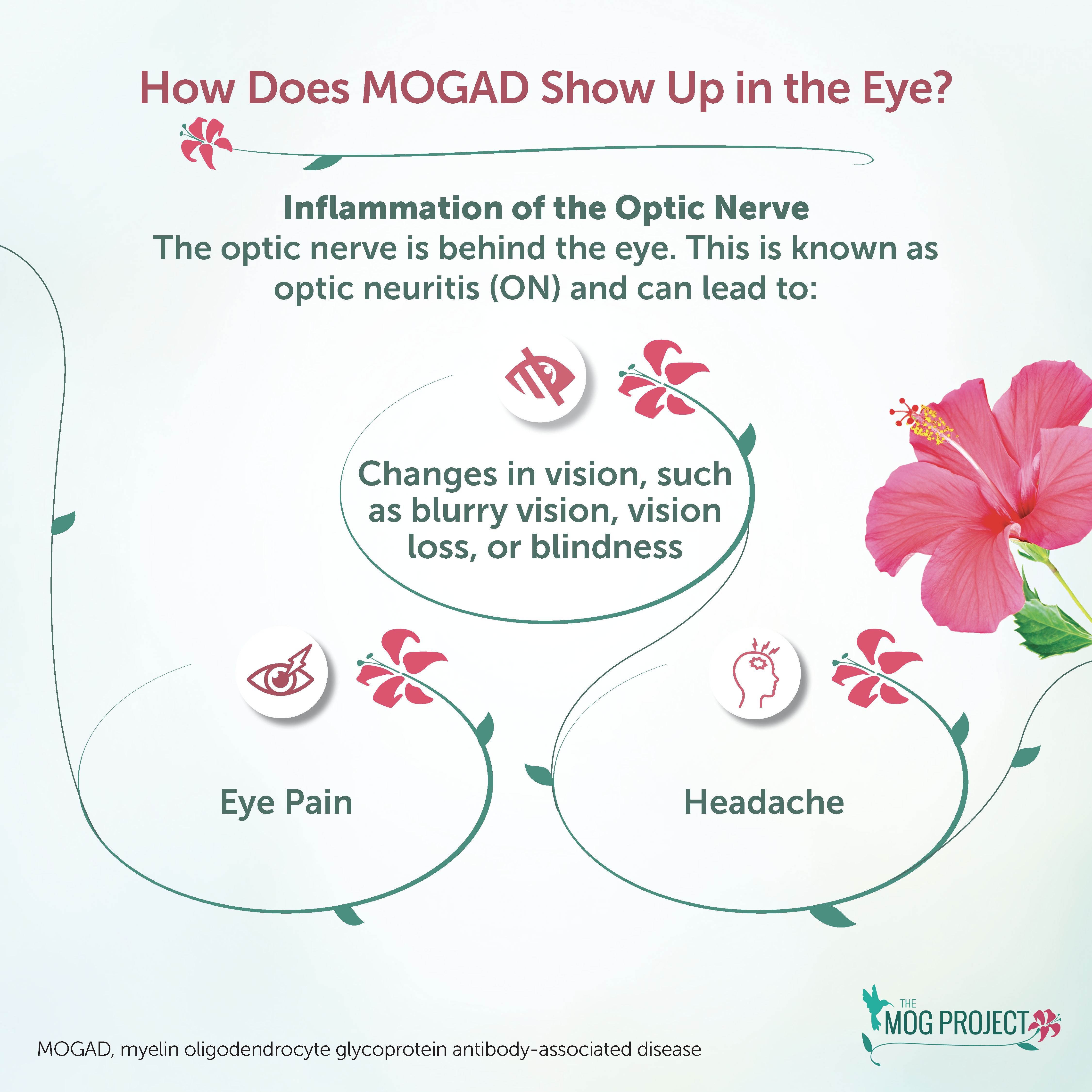 Infographic explaining how MOGAD affects the eye: inflammation of the optic nerve causes vision changes, eye pain, and headache. Includes icons for vision, pain, headache, and a pink hibiscus flower.