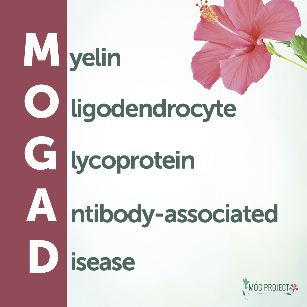 Text graphic defining MOGAD: Myelin Oligodendrocyte Glycoprotein Antibody-Associated Disease. Features a pink hibiscus flower in the top right and the MOG Project logo in the bottom right.