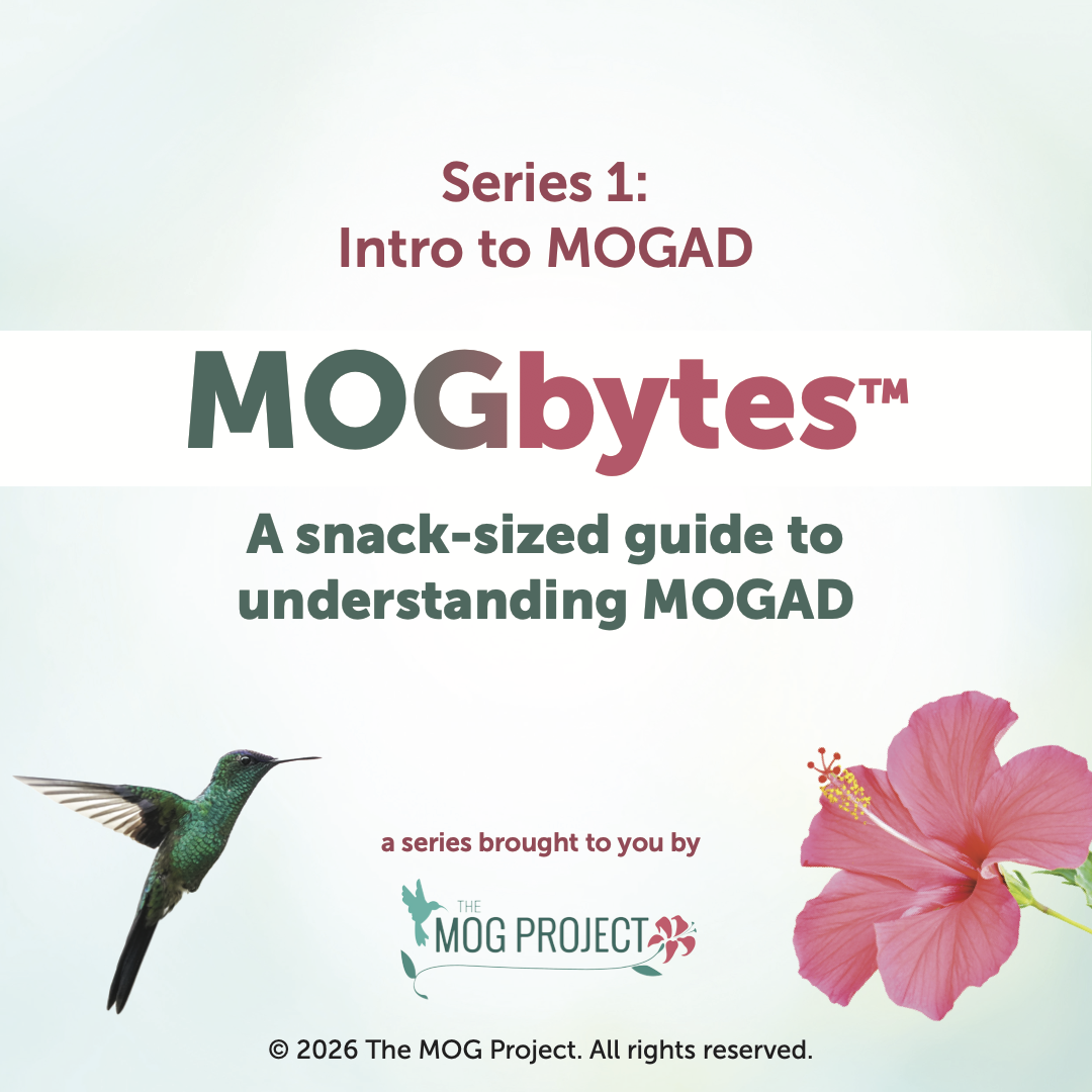 Series 1: Intro to MOGAD. MOgbytes™—A snack-sized guide to understanding MOGAD. Image shows a hummingbird and a pink hibiscus, and is by The MOG Project.