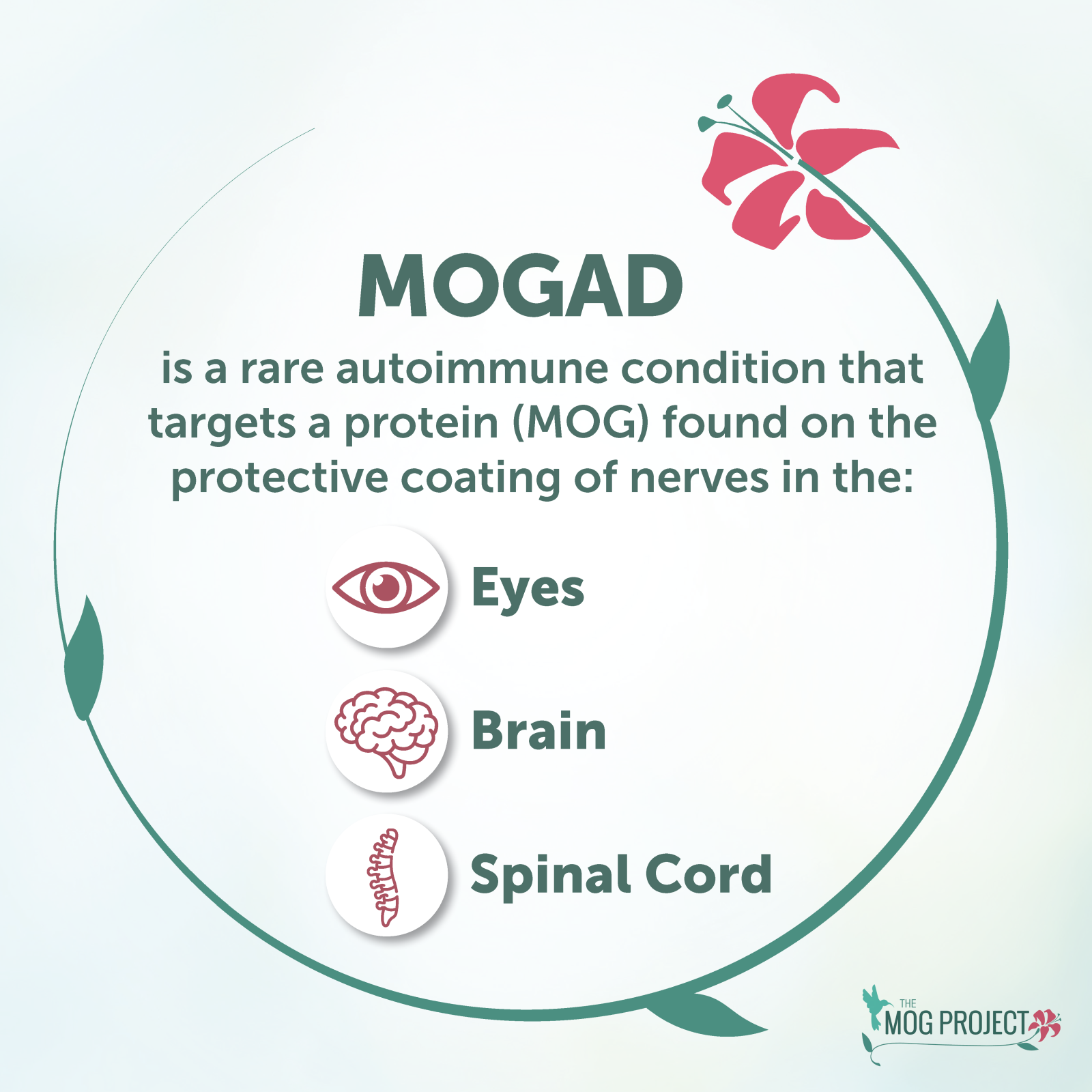 Infographic explaining MOGAD, an autoimmune condition that affects the eyes, brain, and spinal cord, with icons representing each area and decorative floral elements.
