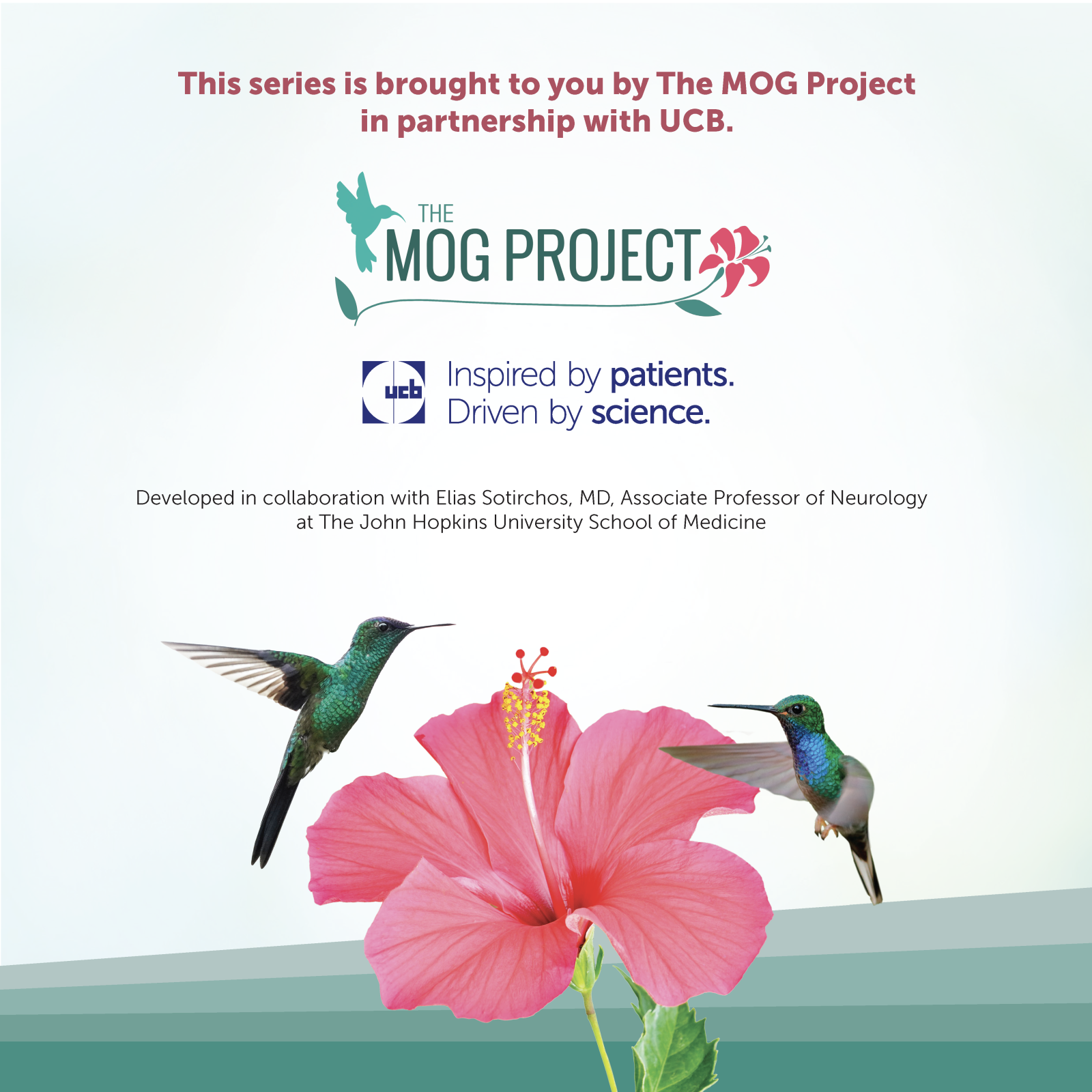 Two hummingbirds hover near a pink hibiscus flower. Text about The MOG Project and UCB partnership appears above, with additional credits and logos displayed in the background.